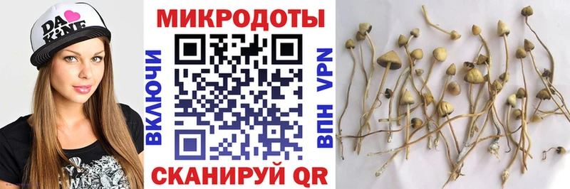 Псилоцибиновые грибы мухоморы  kraken tor  Мичуринск 