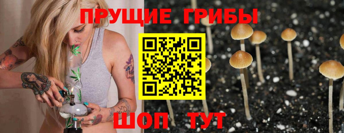 Псилоцибиновые грибы мицелий  Вход с VPN  Мичуринск 
