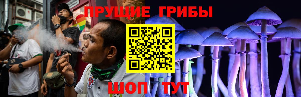 Галлюциногенные грибы мицелий Мичуринск